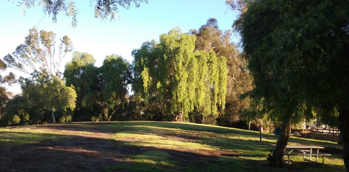 Gilman Park Fullerton Walks